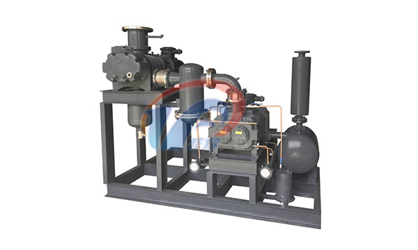 羅茨泵+螺桿真空泵機組 羅茨泵+螺桿真空泵機組