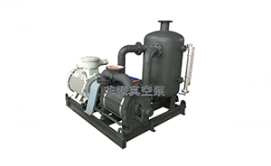 2BV真空泵不抽真空的原因解析